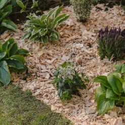 Westland Rustic Wood Chips - 60L 6 Westland Rustic Wood Chips - 60L -Westland Garden Deals Store 13280769 1564929084866478