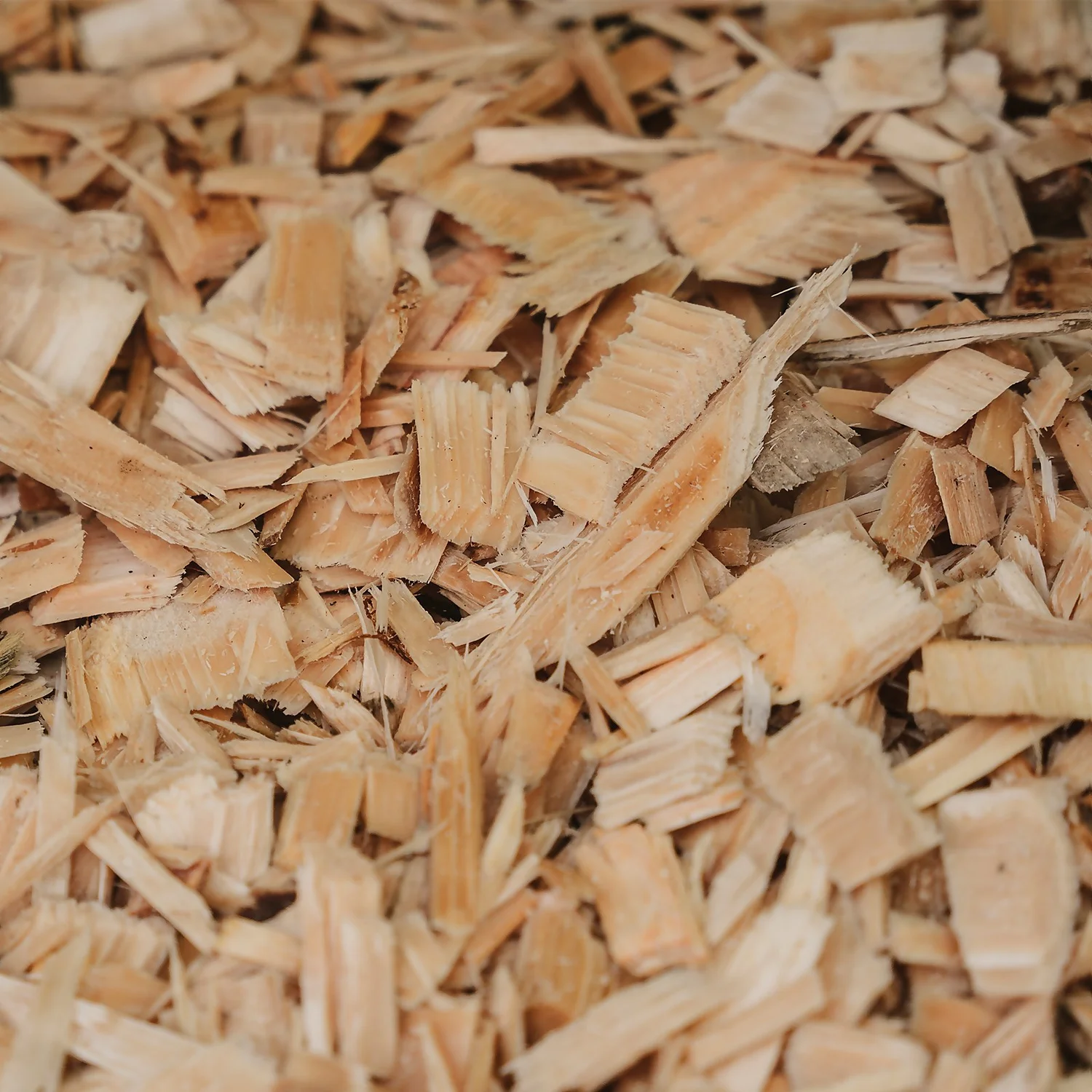 Westland Rustic Wood Chips - 60L 4 Westland Rustic Wood Chips - 60L - Image 4