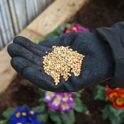 Miracle-Gro Premium All Purpose Continuous Release Plant Food 900G 6 Miracle-Gro Premium All Purpose Continuous Release Plant Food 900G -Westland Garden Deals Store 13308222 9885012580990969