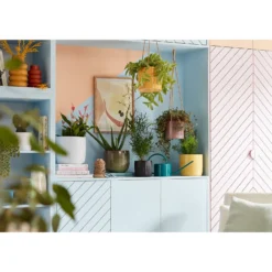 Perla White Plant Pot - 18cm -Westland Garden Deals Store 13432918 8534948249995939