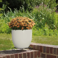 Glazed Cream Heritage Egg Pot - 21cm -Westland Garden Deals Store 13441309 5874933184225181