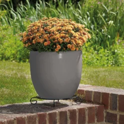 Glazed Grey Heritage Egg Pot - 21cm -Westland Garden Deals Store 13441317 1794933184299377