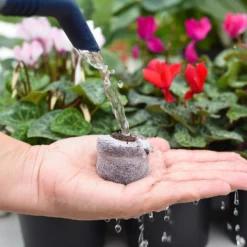 Coco & Coir Seed Germination Dots - 40mm -Westland Garden Deals Store 13487129 3894919981363337