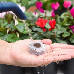 Coco & Coir Seed Germination Dots - 40mm -Westland Garden Deals Store 13487129 7814919981385408