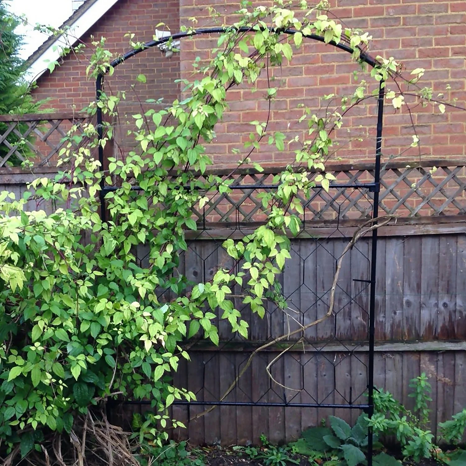 Agriframes Monet Garden Screen - W 1.2m X H 1.8m - Black 2 Agriframes Monet Garden Screen - W 1.2m X H 1.8m - Black - Image 2