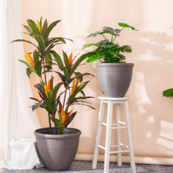 Ashford Planter Slate 45cm 10 Ashford Planter Slate 45cm -Westland Garden Deals Store 13928635 1645001956279691