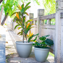 Ashford Planter Grey 35cm -Westland Garden Deals Store 13928636 1795001955680876