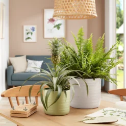 Scheurich Ripple White Indoor Pot - 20cm -Westland Garden Deals Store 13953260 1154987120198644