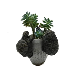 Homebase Animal Pot Hangers - Assorted Designs -Westland Garden Deals Store 13955518 1865014596896211