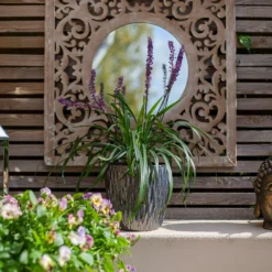 Chiswick Textured Pot Black - 38cm -Westland Garden Deals Store 13973633 2705011242800862