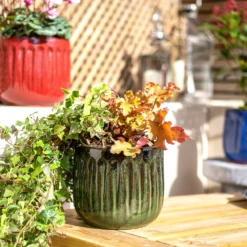 Chiswick Running Pot Green - 38cm -Westland Garden Deals Store 13973643 1525011238427492