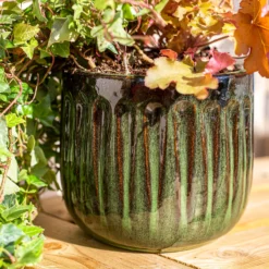 Chiswick Running Pot Green - 38cm -Westland Garden Deals Store 13973643 2115011238524470