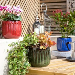 Chiswick Running Pot Green - 38cm -Westland Garden Deals Store 13973643 5935011238582982