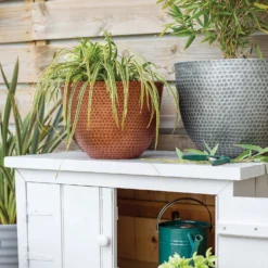 Suva Hammered Pot Copper - 31cm 8 Suva Hammered Pot Copper - 31cm -Westland Garden Deals Store 13973652 1145011805950221