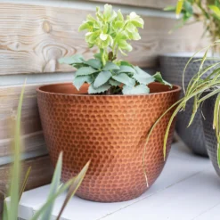 Suva Hammered Pot Copper - 31cm 9 Suva Hammered Pot Copper - 31cm -Westland Garden Deals Store 13973652 1715011805989134