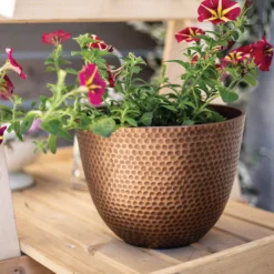 Suva Hammered Pot Bronze - 31cm -Westland Garden Deals Store 13973654 6975011805770104