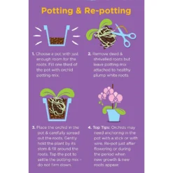 Westland Orchid Potting Mix Peat Free 8L -Westland Garden Deals Store 14013784 4815003754410304