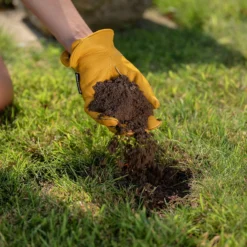 Gro-Sure Lawn Seeding Soil 25L 6 Gro-Sure Lawn Seeding Soil 25L -Westland Garden Deals Store 14013795 6885003754801318