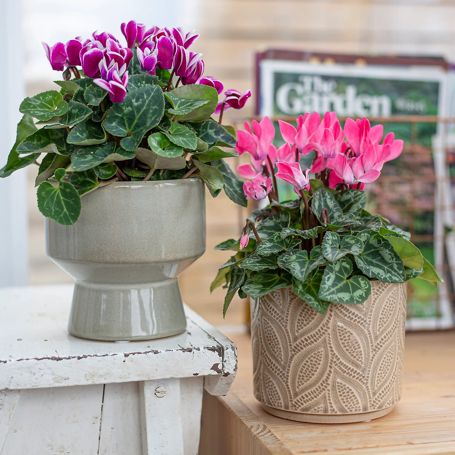 Crackle Leaf Indoor Plant Pot - 12cm 9 Crackle Leaf Indoor Plant Pot - 12cm - Image 9