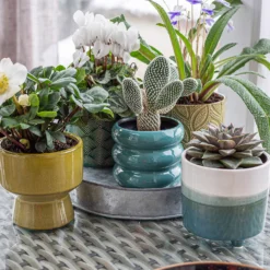 Crackle Leaf Indoor Plant Pot - 12cm 19 Crackle Leaf Indoor Plant Pot - 12cm -Westland Garden Deals Store 14197410 1395024191595766