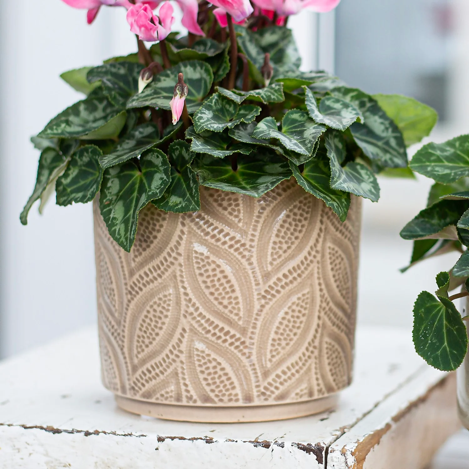 Crackle Leaf Indoor Plant Pot - 12cm 6 Crackle Leaf Indoor Plant Pot - 12cm - Image 6